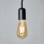 Picture of Vintage LED Pendant Ceiling Light Fixture in Industrial Matte Black for Living Room 