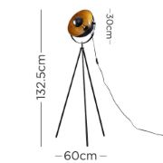 Picture of Standard LED Photography Lamp with Industrial Black Tripod Stand