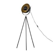 Picture of Standard LED Photography Lamp with Industrial Black Tripod Stand