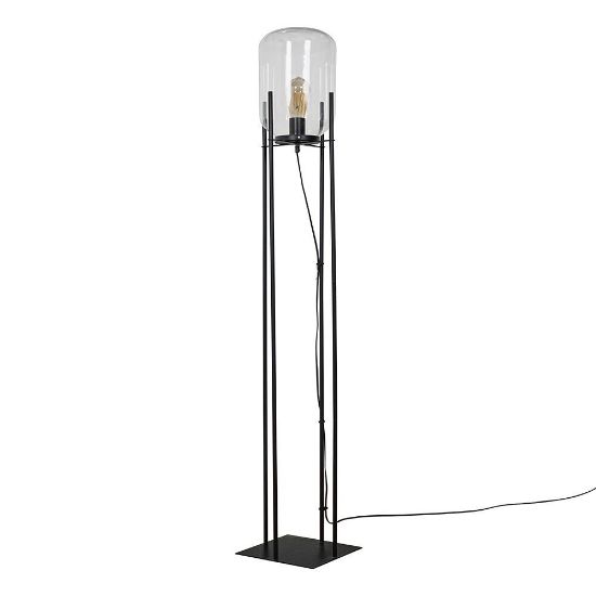 Picture of Black Metal Floor Lamp with Glass Capsule Lampshade and LED Bulb for Living Room