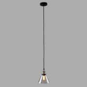 Picture of Modern Glass Pendant Light Fixture with LED Filament Bulb for Industrial Spaces