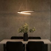 Picture of Matt Black Loop Ceiling Light Fitting Integrated LED Hanging Adjustable Lighting