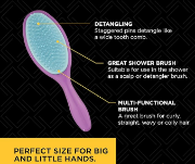 Picture of Shower Hair Brush for Detangling All Hair Types | Perfect Detangling Brush for Women, Kids and Men